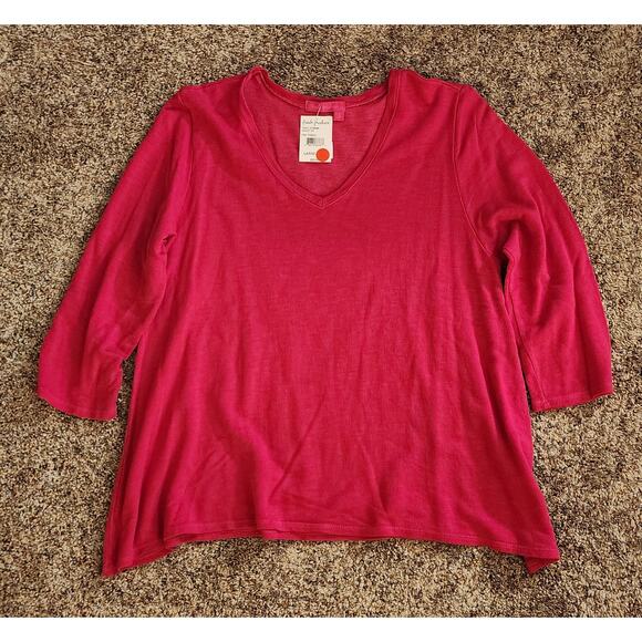 fresh produce Tops - Fresh Produce Boho Hippie L Knit Tunic V-Neck NWT